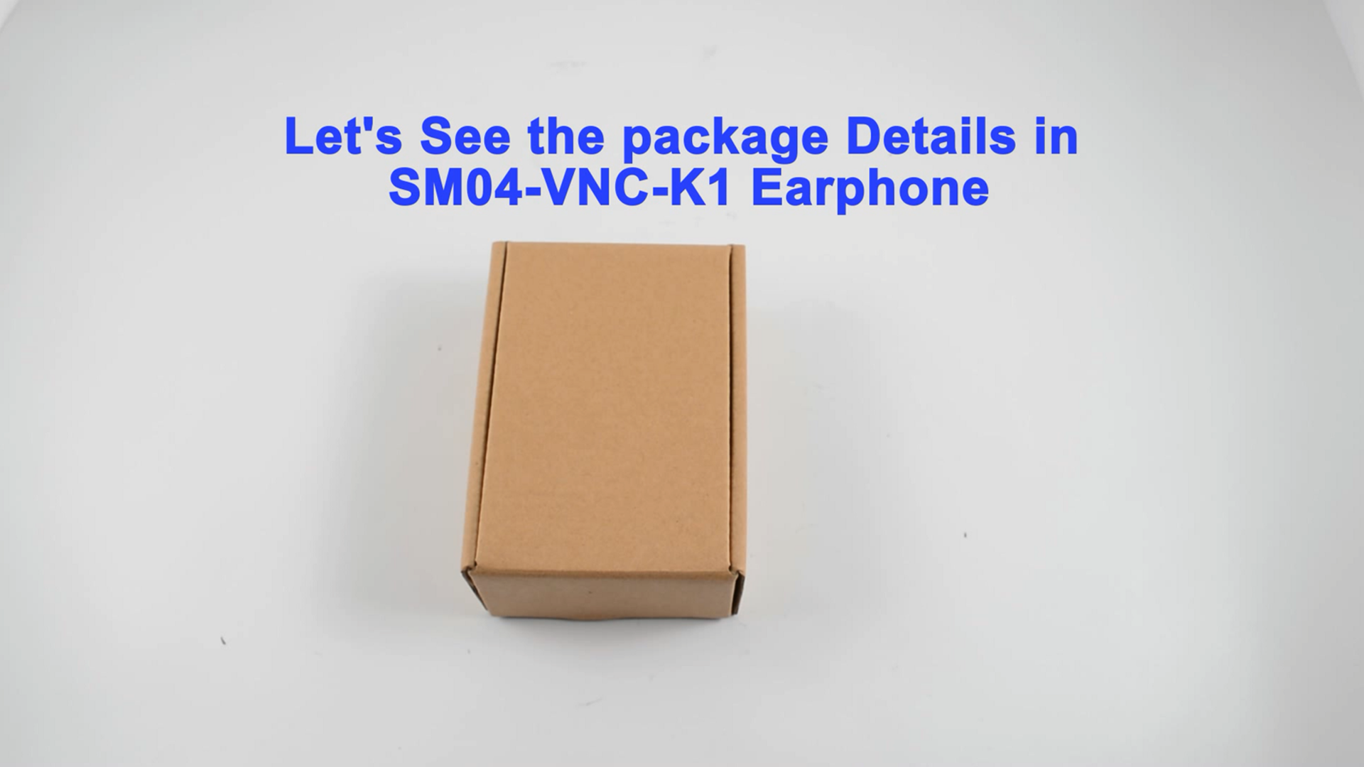 SM04-VNC-K1 Noise Cancelling Earphone Package Details